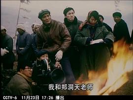 陆小雅