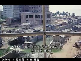 陆小雅