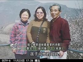 陆小雅