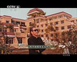 陈怀皑