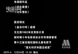 石晓华
