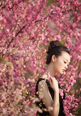战菁一