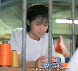 辛树芬