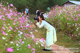 钱芳