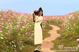 钱芳
