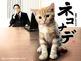 小木茂光