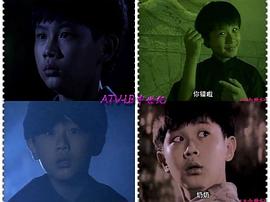 郑柏林
