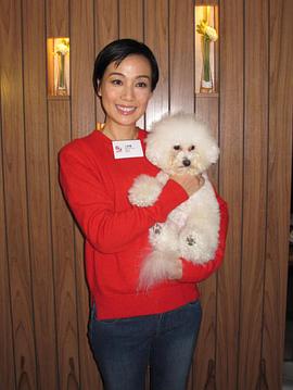 江美仪