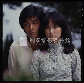 应采灵
