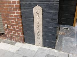 山本富士子