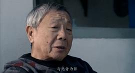 午马