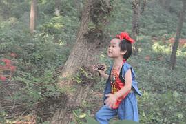 邵何之杰