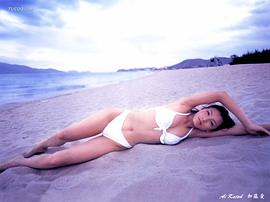 加藤爱