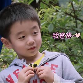 杨阳洋