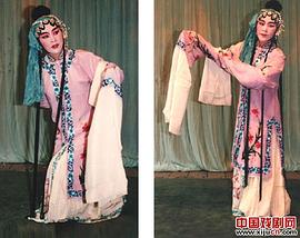 范泽华