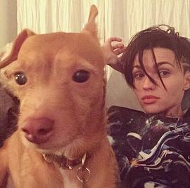 鲁比·罗丝