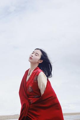 张辛苑