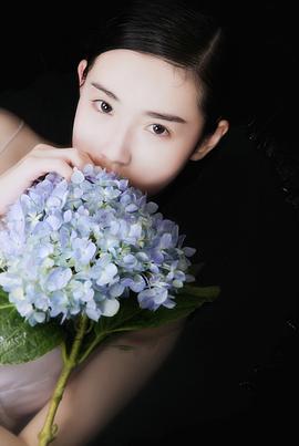 张辛苑