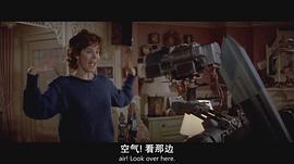艾丽·西蒂