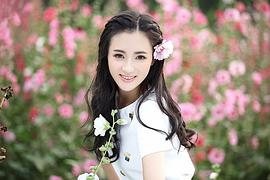 陶洋