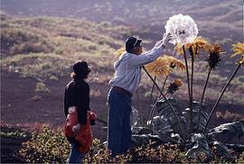黑泽明