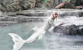 马天宇