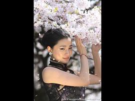 王艺曈