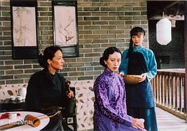 杨雨婷