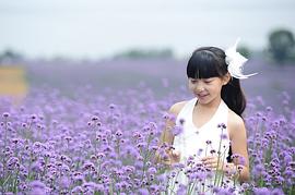 朱佳妮