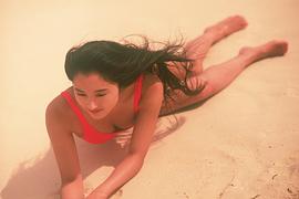 井上晴美