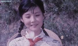 马晓晴