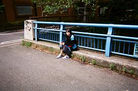 葵若菜
