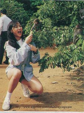 万绮雯