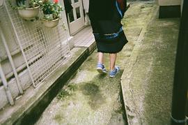 葵若菜