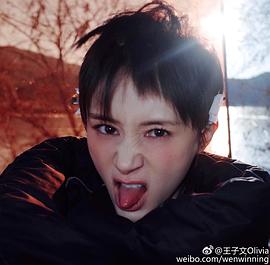 王子文