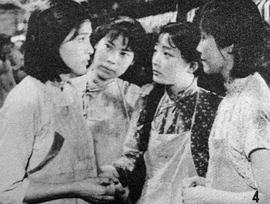 张闽