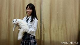 王盈