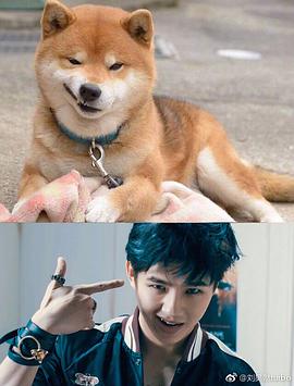刘昊然