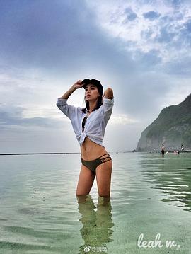 魏璐