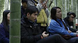 杨振豪