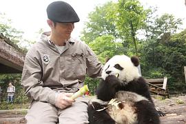 黄晓明