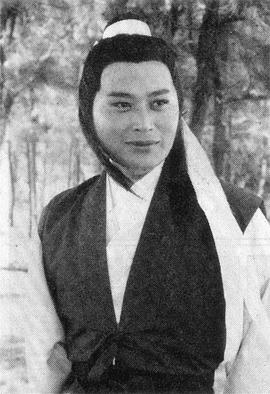 贺军政