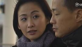 汤宝如