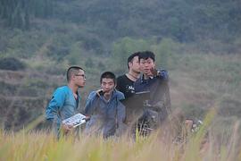 陈聪聪
