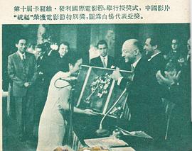 白杨