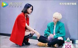杨芸晴