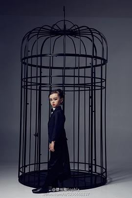 蔡书雅