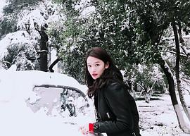 张柏嘉