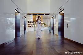 弦子