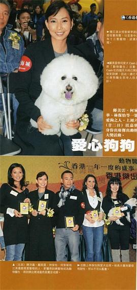 江美仪